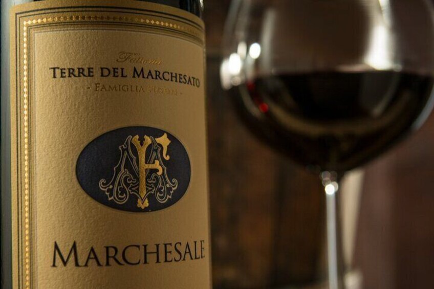  Retrospettiva di Marchesale Wine Tasting and Tour in Bolgheri