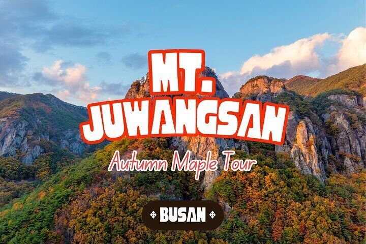 Juwangsan National Park Autumn Foliage One Day Tour from Busan