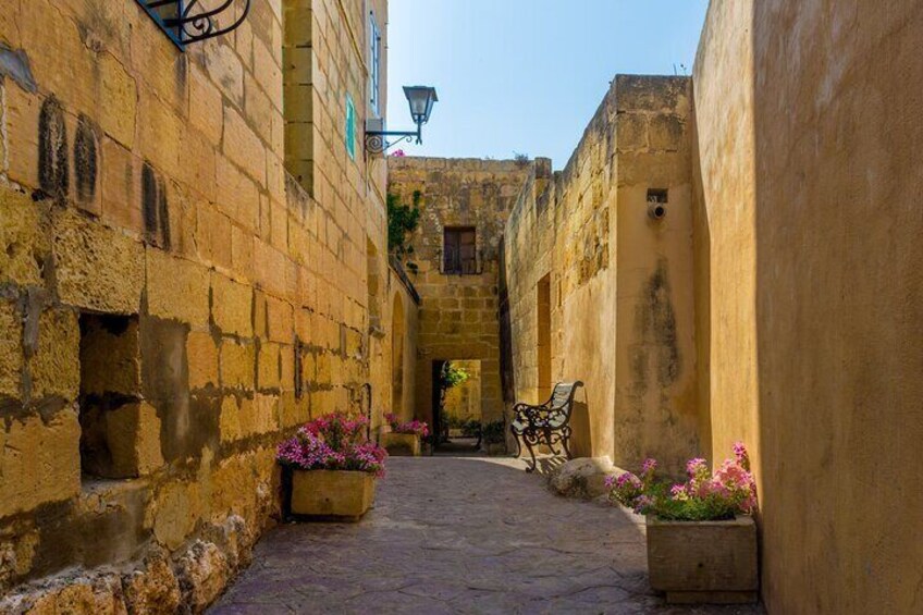 Gozo Full Day Tour with Private Driver