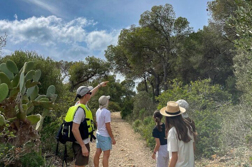 Palma de Mallorca: Small Group Tour by Locals in Hidden Coves