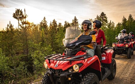 Rovaniemi : Quad Bike Wilderness Safari