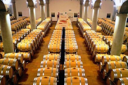 Tasting in a cellar in Marsala and tour of the Mothia lagoon