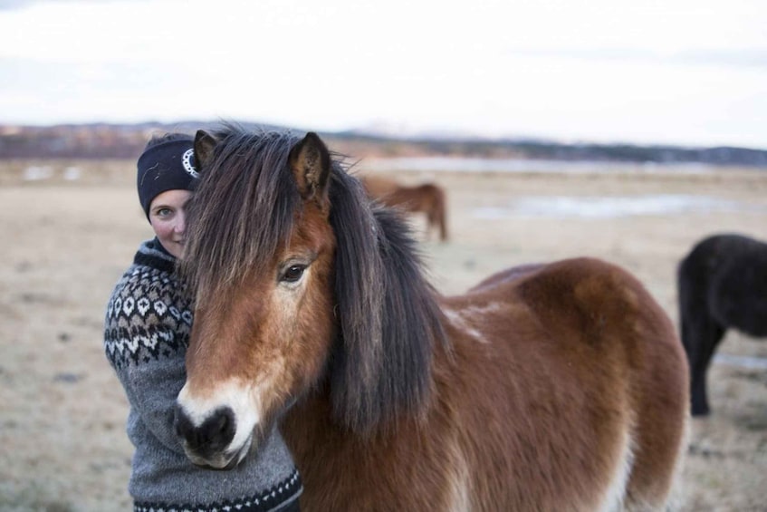 Picture 4 for Activity Hveragerdi: Countryside Charm Horse Riding Tour