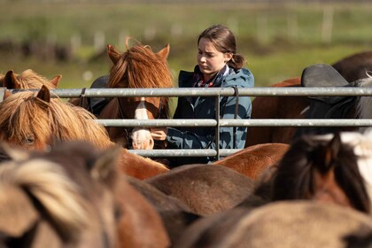 Hveragerdi: Countryside Charm Horse Riding Tour