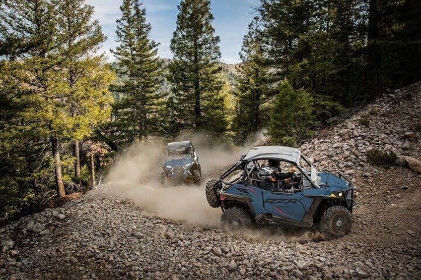 RZR Adventure to Sawtelle Peak