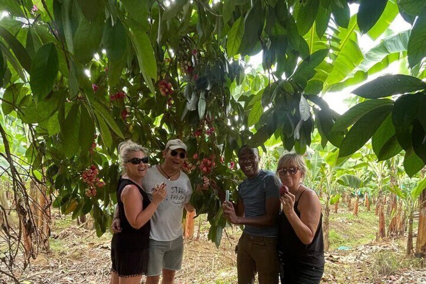 3-Hour St. Lucia Island Tour with Zero Entry Free