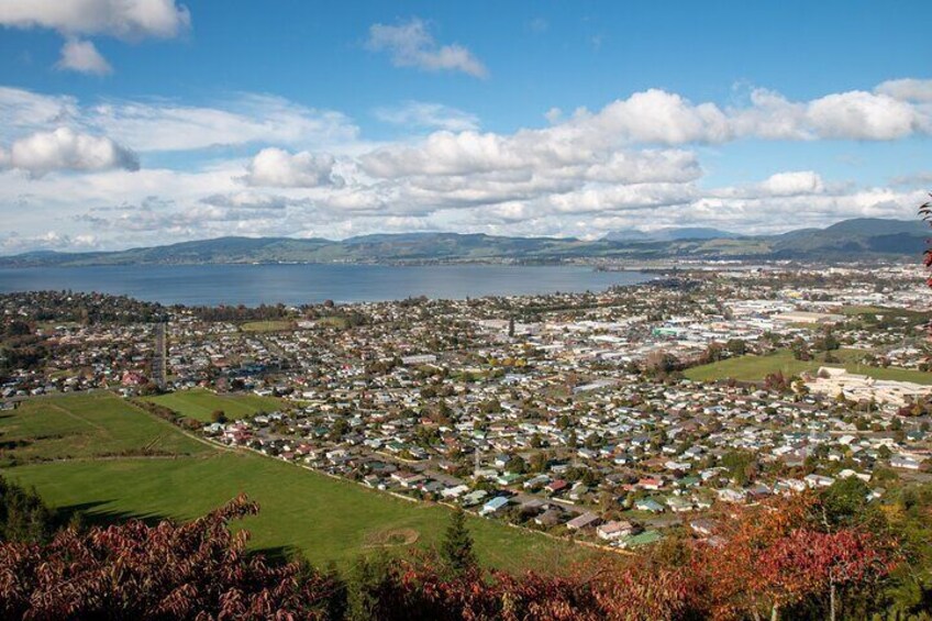 Private Tour Ziplining Forest Adventure from Rotorua