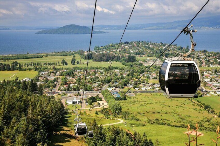 Private Tour Ziplining Forest Adventure from Rotorua