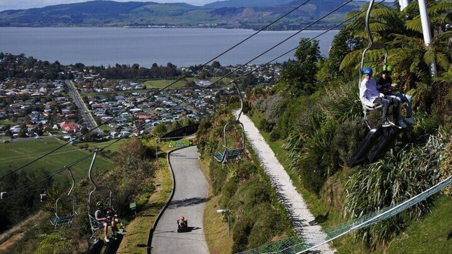 Private Tour Ziplining Forest Adventure from Rotorua