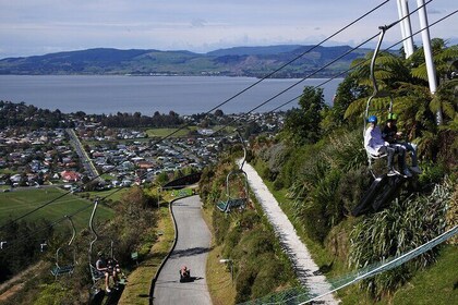 Private Tour Ziplining Forest Adventure from Rotorua