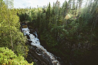 Rovaniemi: Auttiköngäs Wasserfälle Wandertour & Grillparty