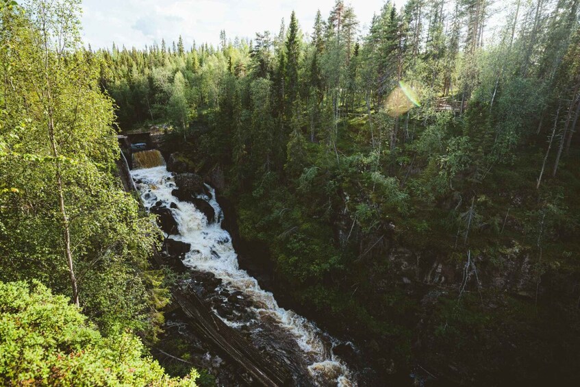 Rovaniemi: Auttiköngäs Waterfalls Hike Tour & Barbeque