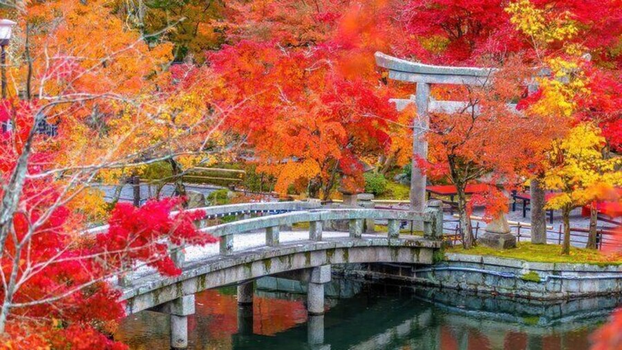 Kyoto Autumn Leaves: Eikando, Nanzenji, Zen Temples & Secrets