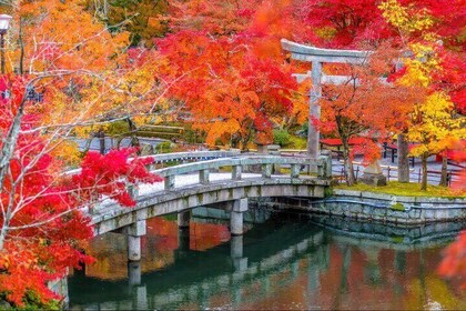 Kyoto Autumn Temple Tour: Heian Jingu, Nanzenji, Maples & Secrets
