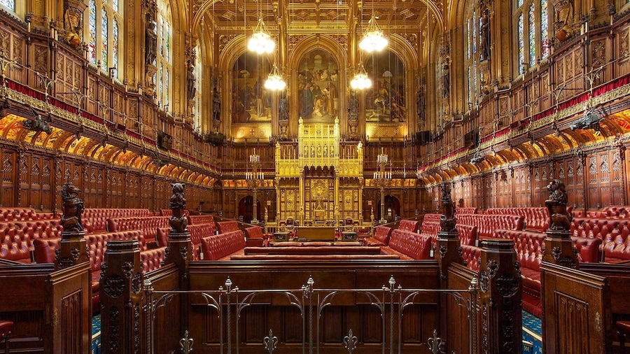Guided Houses of Parliament & Fast Track Westminster Tour