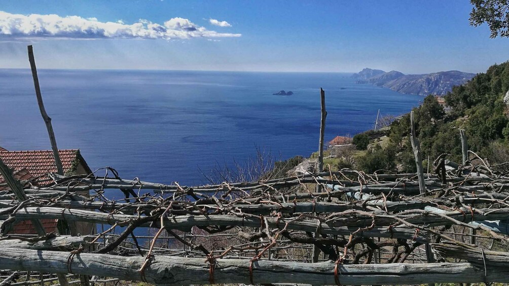 Picture 8 for Activity Path of the Gods from Sorrento with a local Guide