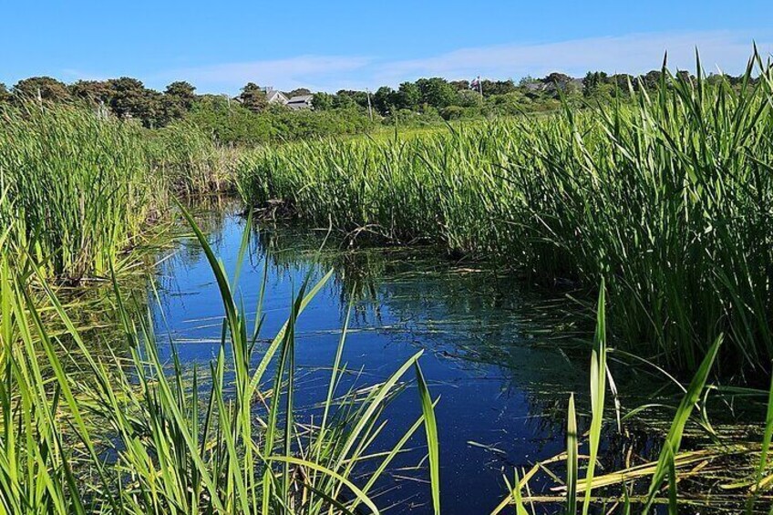 Historical Tour of Nantucket