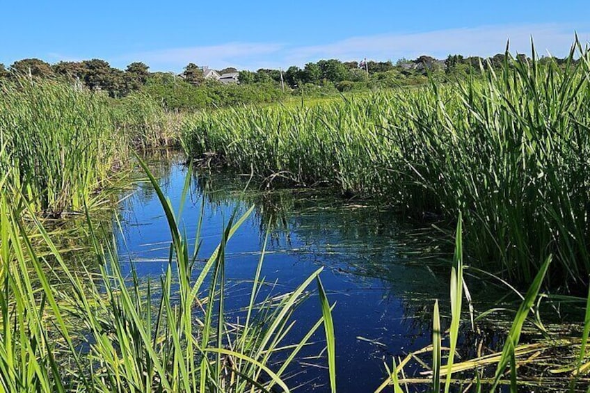Historical Tour of Nantucket
