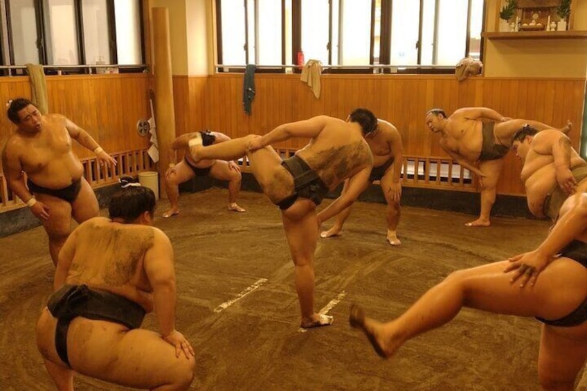 Sumo Practice Watching and Japan’s Beautiful Culture and History