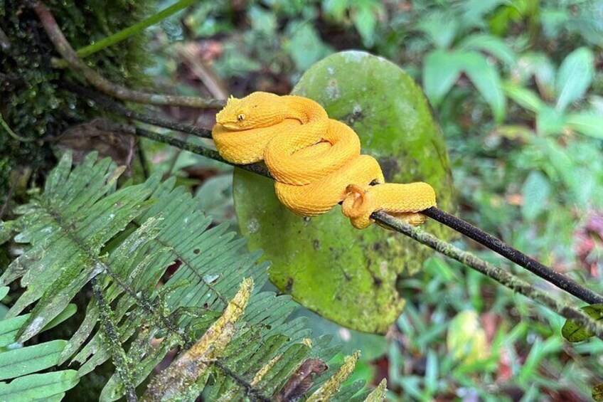 Private Arenal Volcano Tour