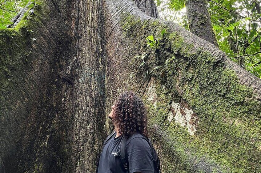 Private Arenal Volcano Tour