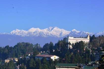 Cultural & Nature Walking Tour in Darjeeling