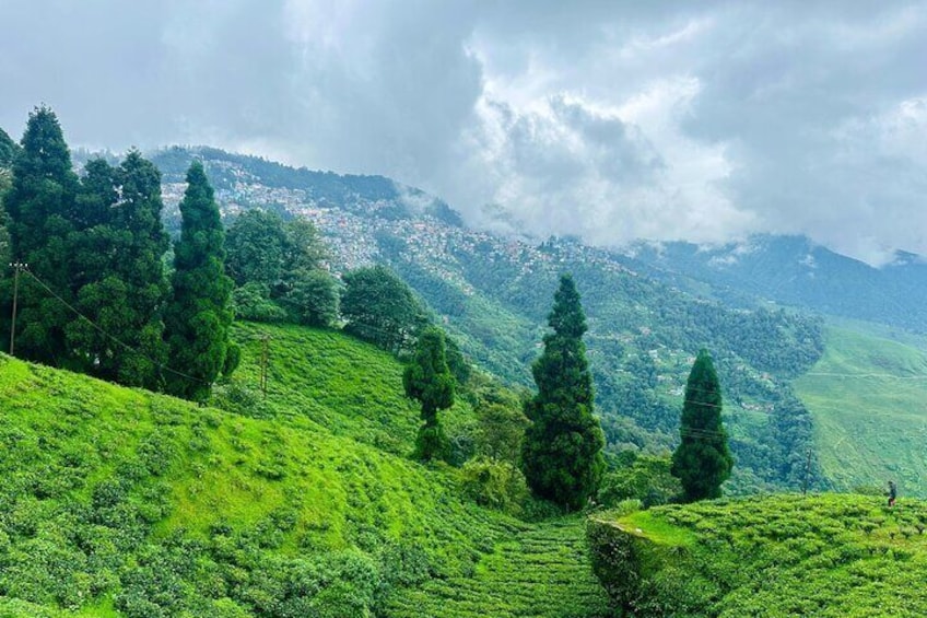 Cultural & Nature Walking Tour in Darjeeling