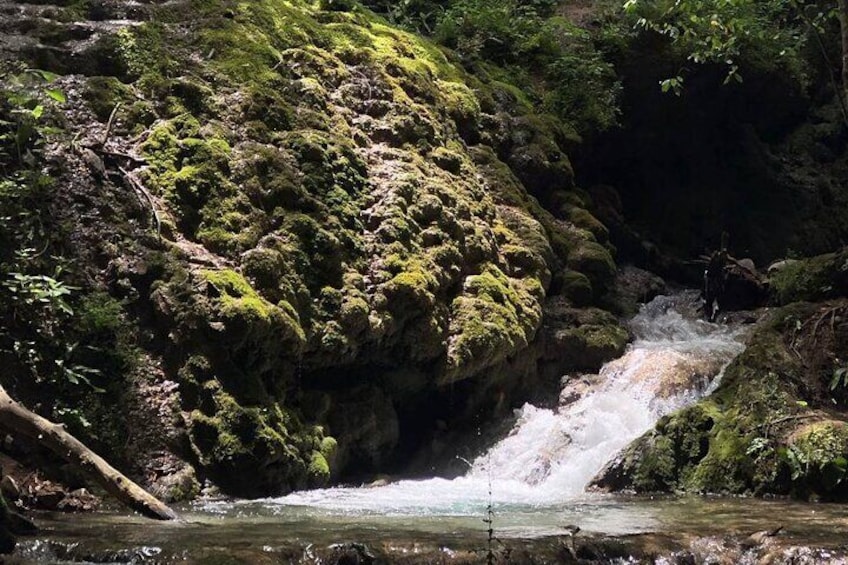 Tour to Dilijan and Sevanavank Monastery