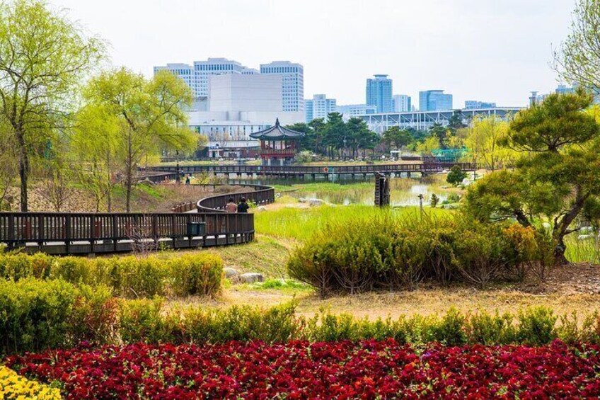 Jangtaesan Recreational Forest Autumn Foliage Day Tour From Seoul