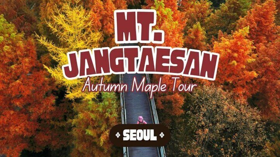 Jangtaesan Recreational Forest Autumn Foliage Day Tour from Seoul