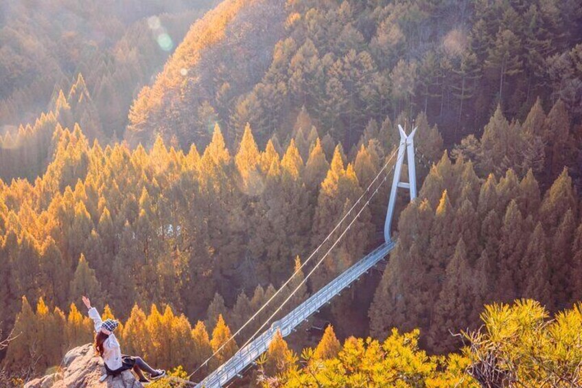 Jangtaesan Recreational Forest Autumn Foliage Day Tour From Seoul