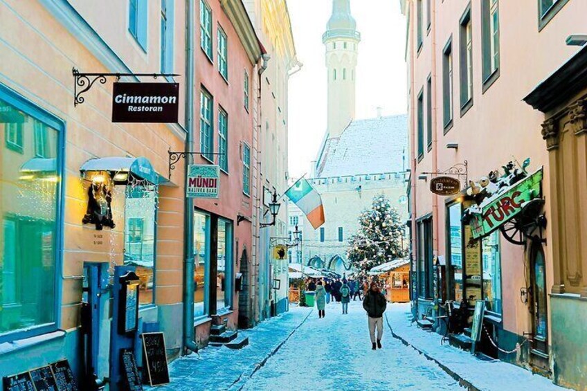 Tales of Tallinn 4 Hour Sightseeing Tour