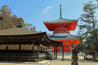 Day Trip Sacred Sites at Koyasan from Osaka