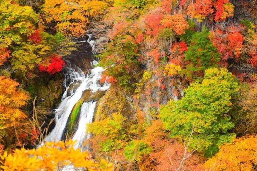 One day private tour to Nikko with English speaking driver