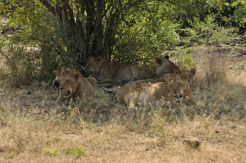 4 Day Serengeti and Ngorongoro Photographic Safari