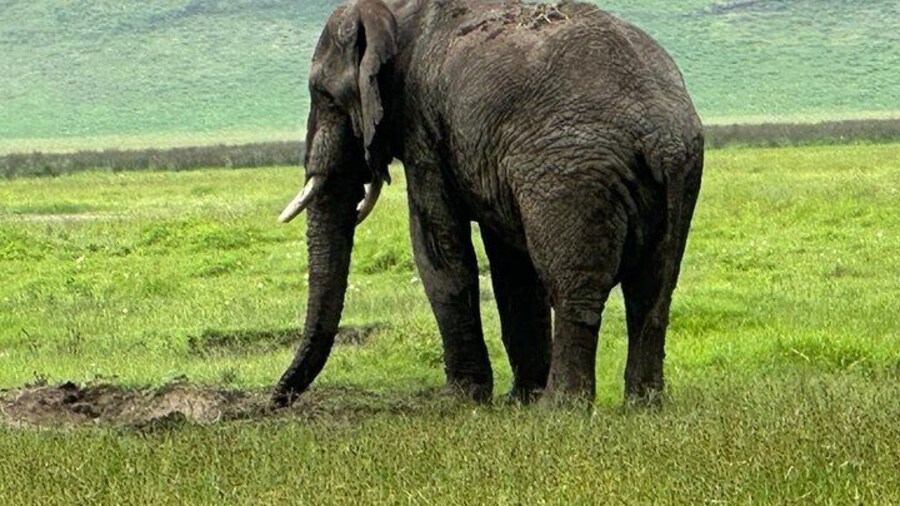 4 Day Serengeti and Ngorongoro Photographic Safari