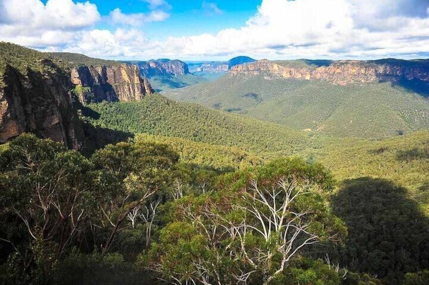 See the huge valleys that make the Blue Mountains famous