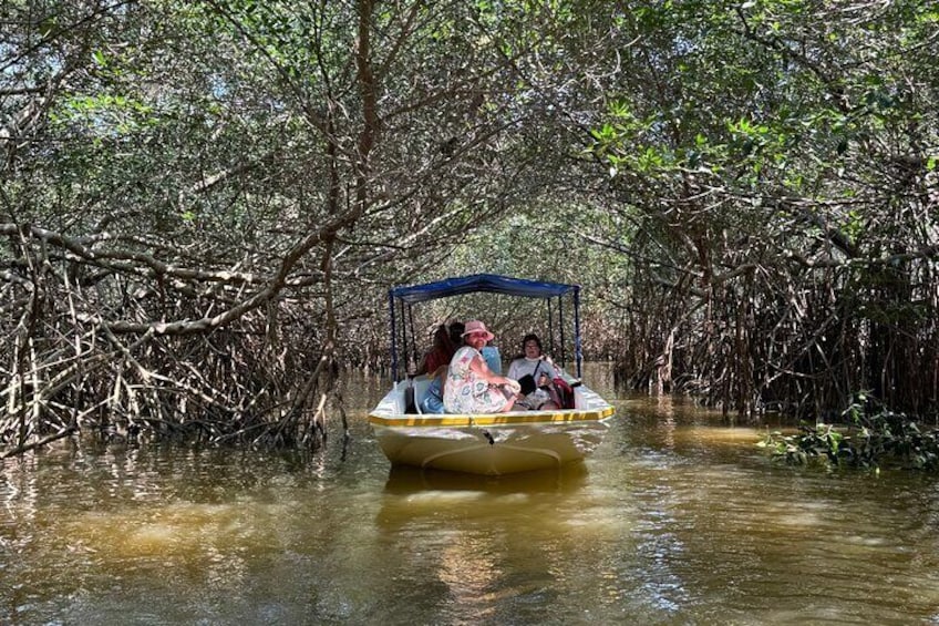 Boat tour in the mangrove reserve