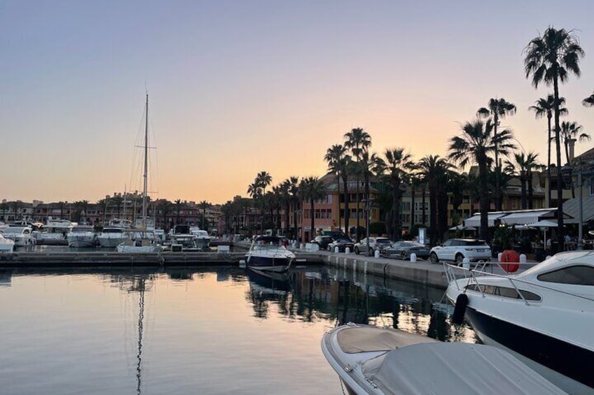 Small Group Dolphin Tour on Hybrid Boat in Sotogrande