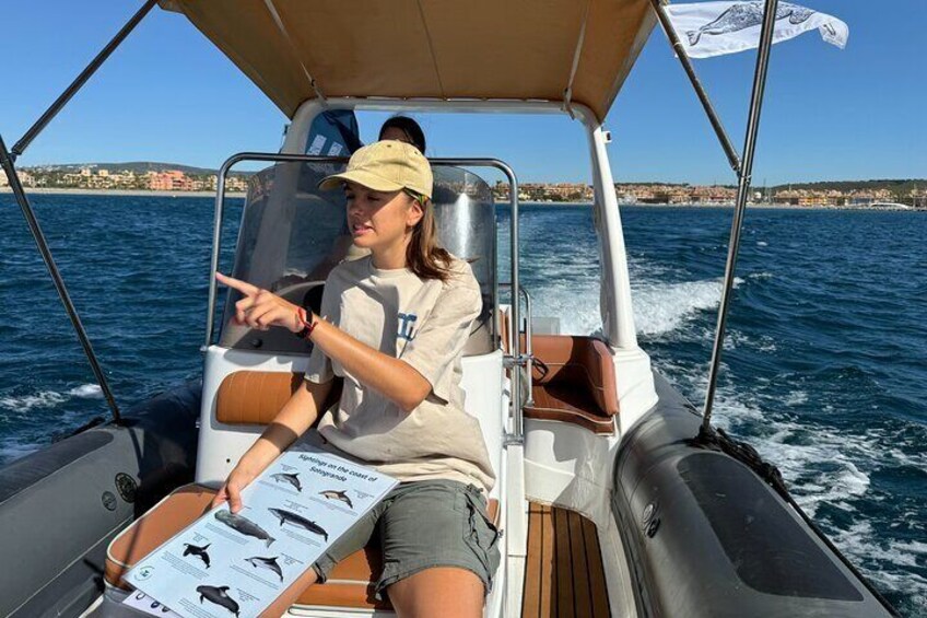 Small Group Dolphin Tour on Hybrid Boat in Sotogrande