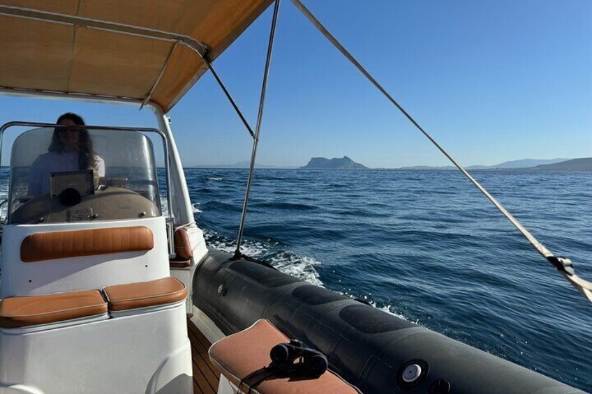 Small Group Dolphin Tour on Hybrid Boat in Sotogrande