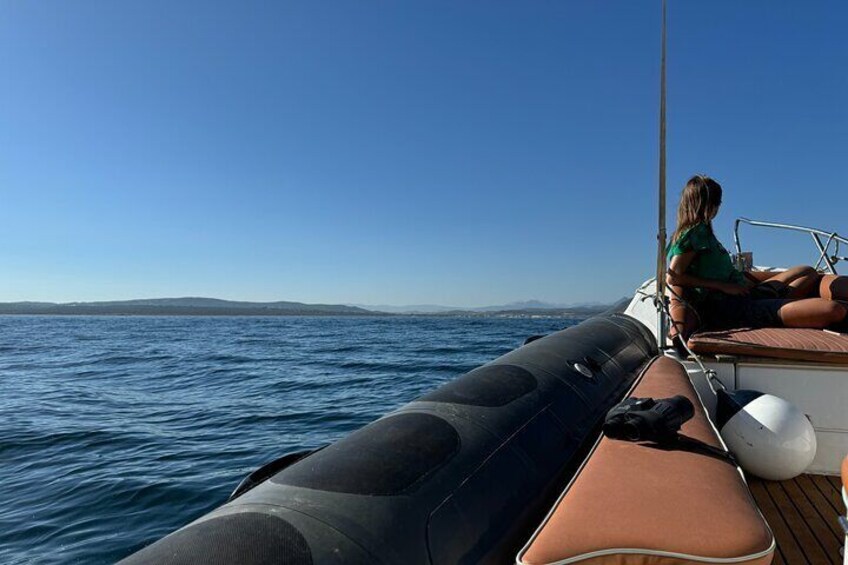 Small Group Dolphin Tour on Hybrid Boat in Sotogrande