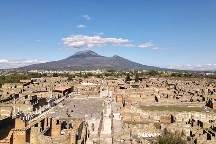 Half Day Tour in Pompei, Vesuvius and Cantine Winery