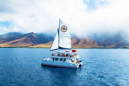 Four Winds Maui Afternoon Snorkel Tour to Coral Gardens