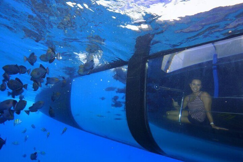 Glass Bottom Viewing Room
