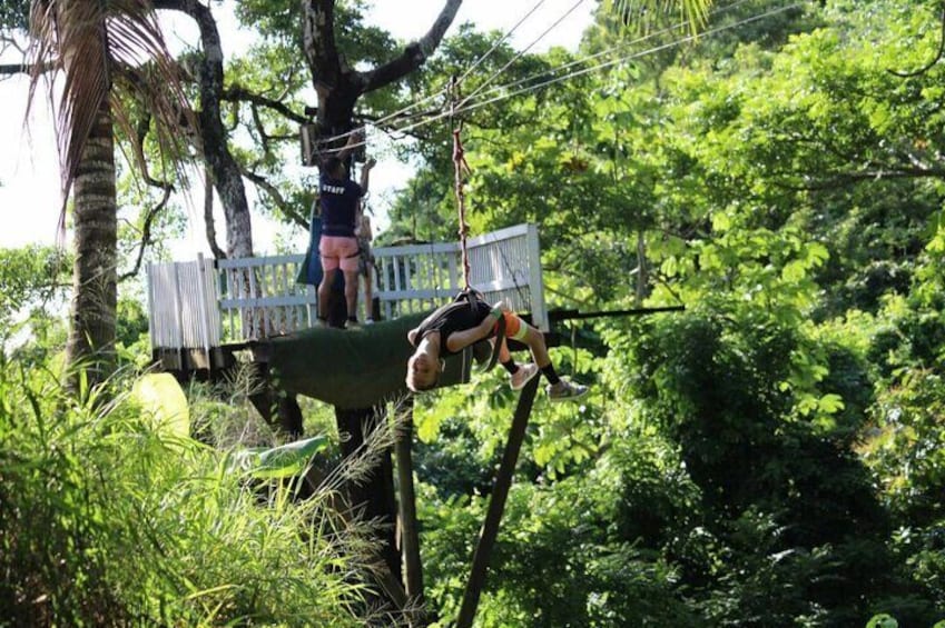 Roatan Jungle Top Zip Line Adventure with Monkey Sloth Sanctuary