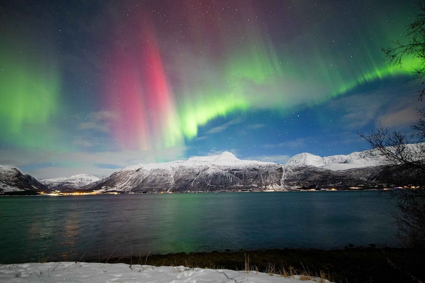 Picture 4 for Activity Tromsø: Northern Lights Tour with Free Professional Photos