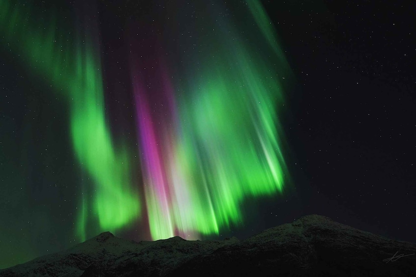 Picture 12 for Activity Tromsø: Northern Lights Tour with Free Professional Photos