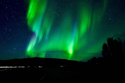 Tromsø: Northern Lights Tour with Free Professional Photos