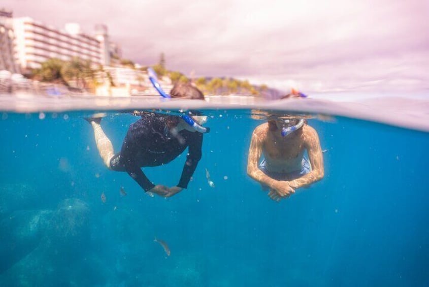 Snorkeling Adventure in the Funchal Eco-Park
